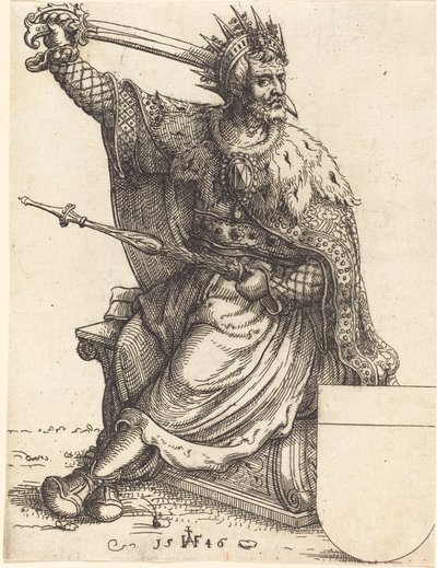 Ferdynand I autorstwa Augustin Hirschvogel