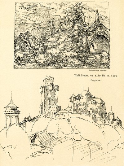 Studium przyrodnicze autorstwa Augustin Hirschvogel