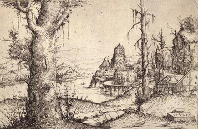 P.9-1993 Krajobraz rzeczny z grubym drzewem autorstwa Augustin Hirschvogel