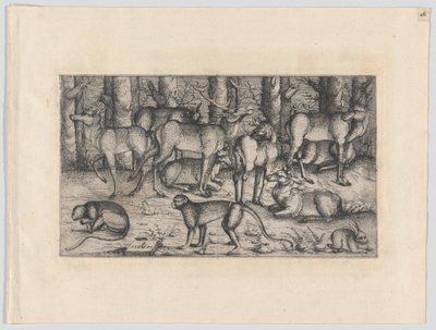 Jelenie w lesie, 1545. autorstwa Augustin Hirschvogel