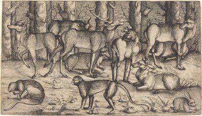 Jelenie w lesie, 1545. autorstwa Augustin Hirschvogel