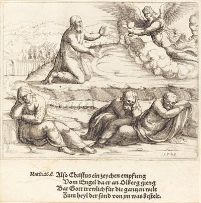 Agonia w ogrodzie autorstwa Augustin Hirschvogel