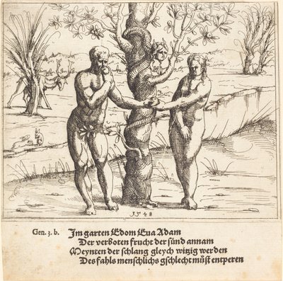 Upadek człowieka, 1548. autorstwa Augustin Hirschvogel