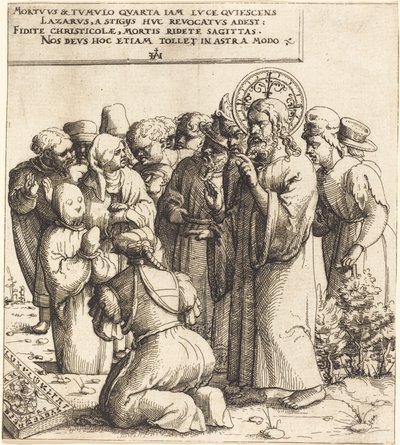 Wskrzeszenie Łazarza autorstwa Augustin Hirschvogel