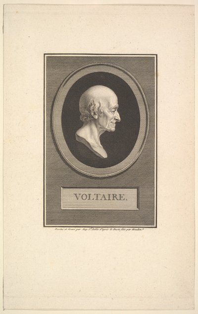 Portret Woltera, 1801. autorstwa Augustin de Saint Aubin