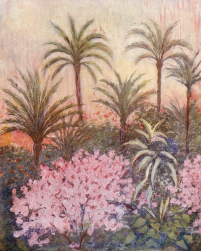 Gaj palmowy w Murcji (kolorowa litografia) autorstwa Augustine Fitzgerald