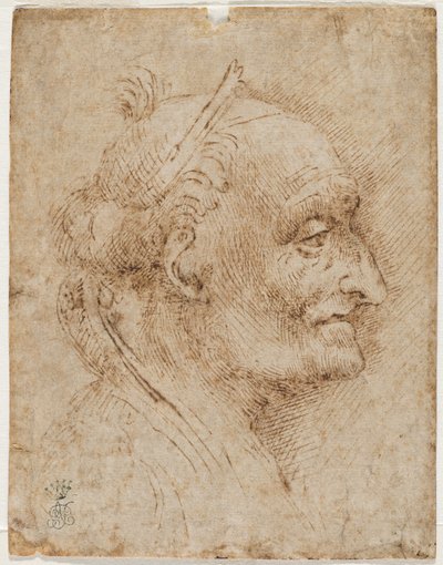 Stara głowa sklepienia po prawej, XVI w. (metaliczna końcówka, węgiel, pióro i atrament) autorstwa Aurelio Luini