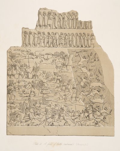 Pole bitwy (Kouyunjik), z Monuments of Niniveh, wyd. 1849 autorstwa Austen Henry Layard