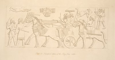 Triumfalny powrót króla z bitwy, z Monuments of Niniveh, wyd. 1849 autorstwa Austen Henry Layard