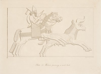 Wojownik ściga dzikiego byka, z Monuments of Niniveh, wyd. 1849 autorstwa Austen Henry Layard