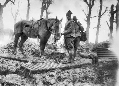 Koń artyleryjski używany do transportu amunicji do dział i jego niezidentyfikowanego australijskiego kierowcy na torze typu duckboard między Mametz i Montauban, grudzień 1916 autorstwa Australian Photographer