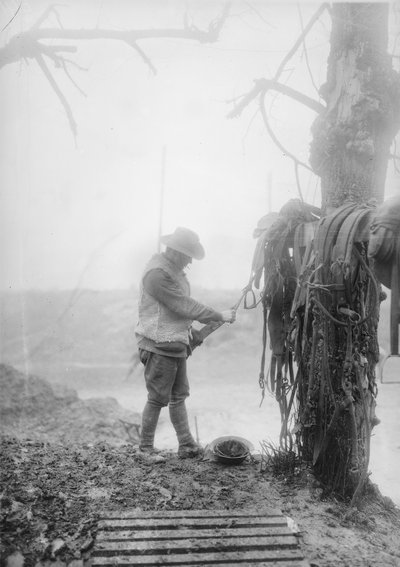Niezidentyfikowany australijski kierowca artylerii czyści błoto z uprzęży swojego zespołu w kęsie w pobliżu Mametz, grudzień 1916 autorstwa Australian Photographer