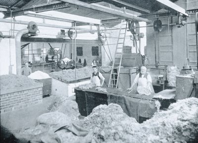 Interior of a Hat Mill, Victoria, ok. 1900, z książki „Pod Krzyżem Południa – Przebłyski Australii”, opublikowanej w 1908 r. autorstwa Australian Photographer