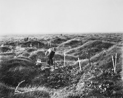 Widok rozrzuconych grobów australijskich wzdłuż linii OG1 na polu bitwy pod Pozieres, 16 września 1917 autorstwa Australian Photographer