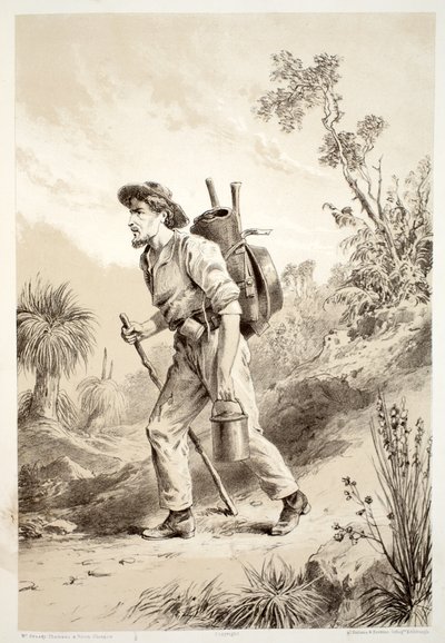 Digger on the Tramp, z Historii Australazji Davida Blaira, McGrady, Thomson i Niven, 1879 autorstwa Australian School