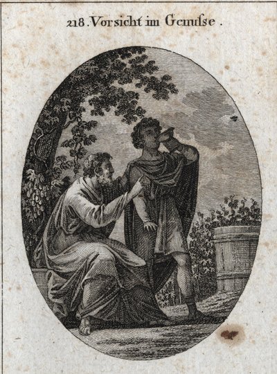Alegoria ostrożności podczas cieszenia się. Filozof ostrzega nas, że winorośl wydaje trzy rodzaje winogron: rozkosz, pijaństwo oraz sługusy i szaleństwo. Grawerowanie w „” Iconologie oder Ideen aus dem Gebiete der Leidenschaften und All autorstwa Austrian School