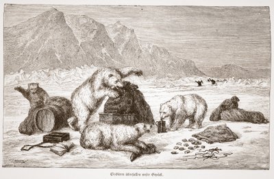 Niedźwiedzie polarne atakują naszą przechowalnię bagażu. Wiedeń 1876 (grafika) autorstwa Austrian School