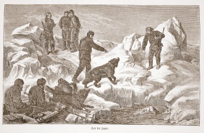 Polowanie z psami, 1876 autorstwa Austrian School