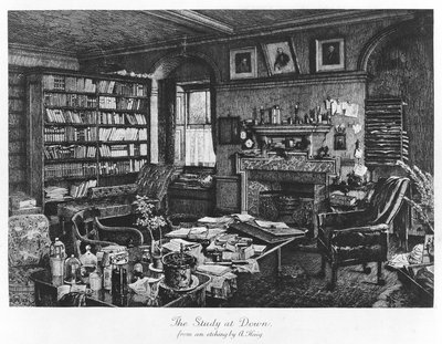 The Study at Down, wyd. 1882 (grawerowanie) autorstwa Axel (after) Haig