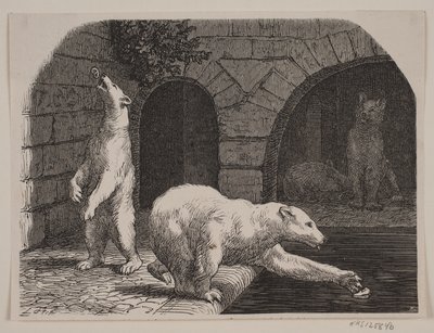 Niedźwiedzie w Jardin des Plantes autorstwa Axel Theodor Kittendorff