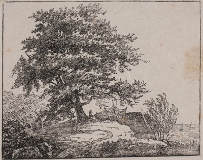 Drzewo na klifie nad morzem autorstwa Axel Theodor Kittendorff