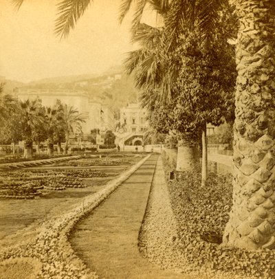 Monte Carlo, patrząc z kasyna, 1897. autorstwa B. W. Kilburn