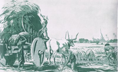 Pole ryżowe w Birmie, z plakatów szkolnych MacMillana, ok. 1950-60 (lito) autorstwa Ba Nyan