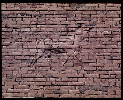 Detal byka, płaskorzeźba bramy Isztar, 580 pne autorstwa Babylonian
