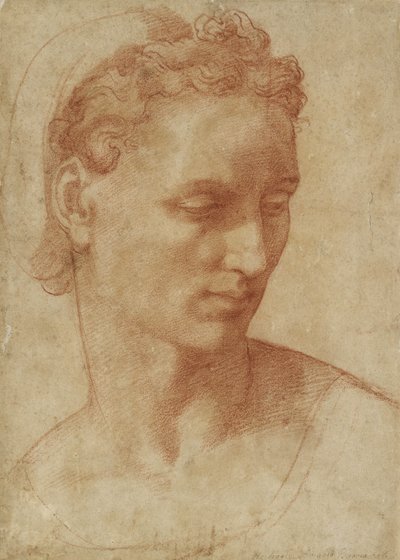 Głowa kobiety (kreda na papierze) autorstwa Baccio Bandinelli
