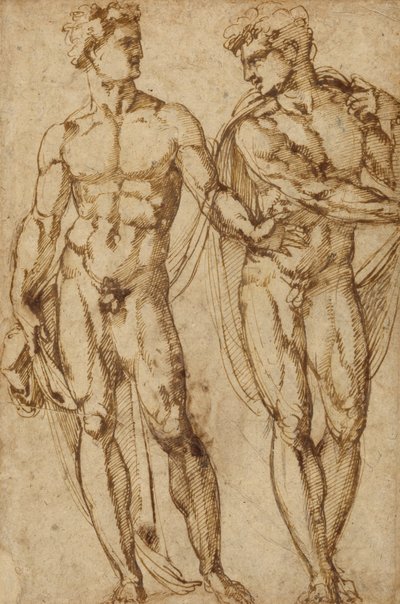 Studium dwóch mężczyzn (recto); Studium głowy brodatego mężczyzny (verso) autorstwa Baccio Bandinelli