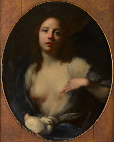 Obraz młodej dziewczyny z białą gołębicą (olej na płótnie) autorstwa Baldassare (1611 89) Franceschini