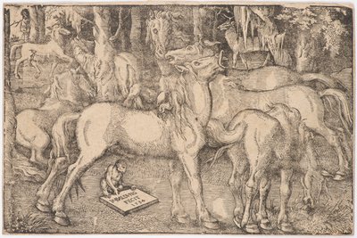 Grupa Siedmiu Koni, 1534. autorstwa Baldung