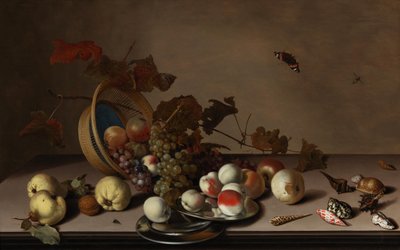 Martwa natura owocowa z wiklinowym koszem, małżami i motylem, pierwsza połowa XVII wieku. autorstwa Balthasar van der Ast