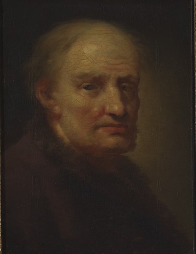 Głowa starca (olej na płótnie) autorstwa Balthasar Denner