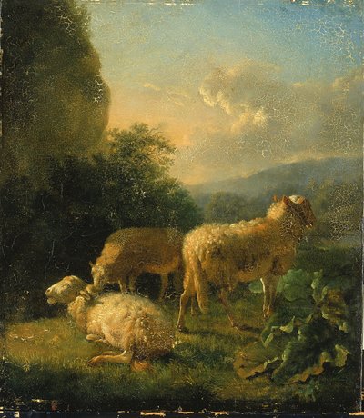 Owca autorstwa Balthasar Paul Ommeganck