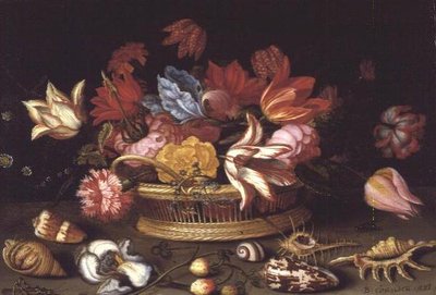 Kosz kwiatów z muszlami na półce (panel olejny) autorstwa Balthasar van der Ast