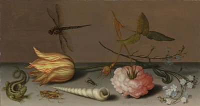 Tulipan, goździk, kiść niezapominajek, w muszli, jaszczurka i konik polny, na półce skalnej, ważka w locie autorstwa Balthasar van der Ast