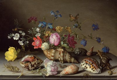Kwiaty, muszle i owady na kamiennej półce autorstwa Balthasar van der Ast
