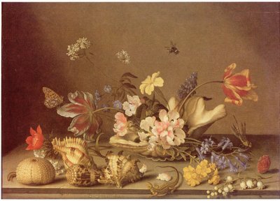 Martwa natura z kwiatów i muszli autorstwa Balthasar van der Ast