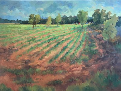 Wczesny poranek, ok. 1980-2000 (olej na płótnie) autorstwa Barbara Cleary