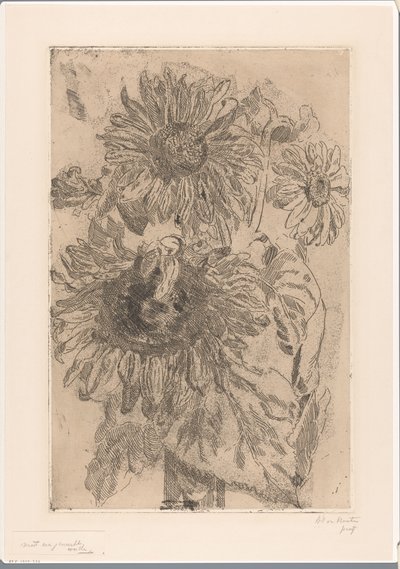 Trzy słoneczniki w wazonie autorstwa Barbara Elisabeth van Houten (signed by artist)