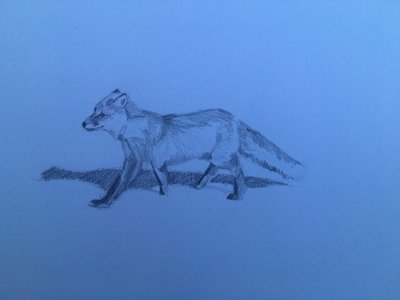 Lis, 2018 autorstwa Barbara Hoogeweegen
