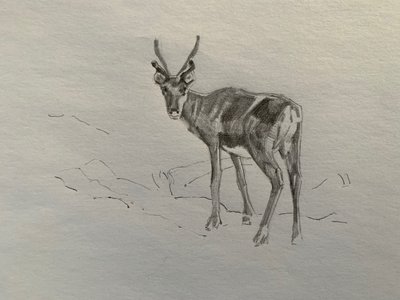 Renifer, 2019 autorstwa Barbara Hoogeweegen