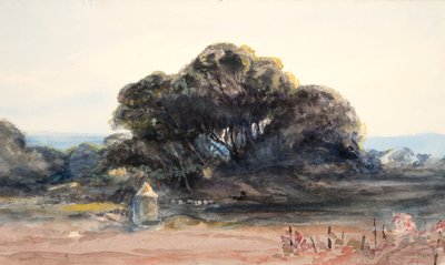 Paisagem: Pinheiro e pequena torre (aquarela e grafite sobre papel trançado) polonês autorstwa Barbara Leigh Smith Bodichon