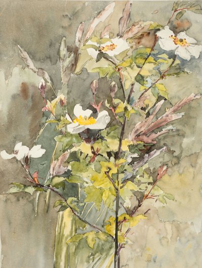 Polne kwiaty (akwarela i grafit na papierze tkanym) autorstwa Barbara Leigh Smith Bodichon