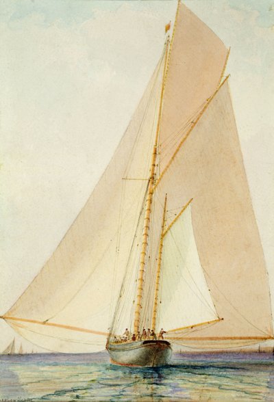 Booming w Light Zephyr (akwarela na papierze) autorstwa Barlow Moore