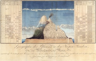 Geografia roślin w krajach tropikalnych, Studium Andów, rys. Schoenberger und Turpin, druk Langlois, Paryż autorstwa Baron Friedrich Alexander von Humboldt