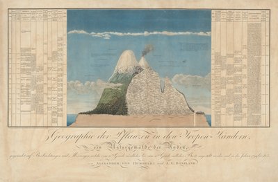 Pomysły na geografię roślin wraz z malowaniem przyrody krajów tropikalnych autorstwa Baron Friedrich Alexander von Humboldt