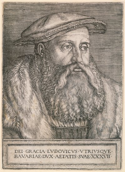  autorstwa Barthel Beham