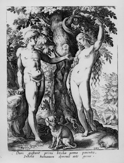 Adam i Ewa, rytowane przez Hendrika Goltziusa, 1585 autorstwa Bartholomaeus Spranger
